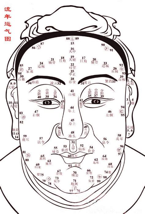 面相年齡|什么年龄在面相的位置